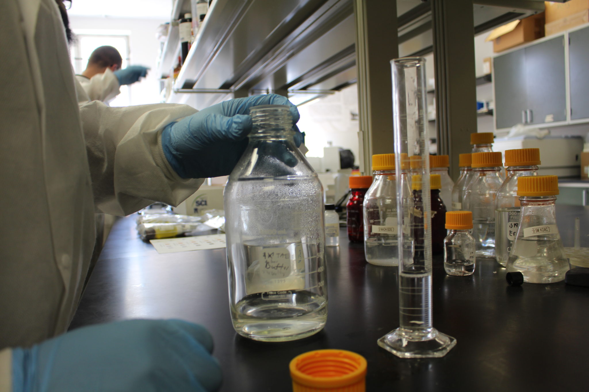 Biology Club, Edward Waters University