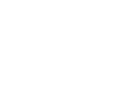 A. Philip Randolph Institute for Law, Race, Social Justice, and Economic Policy, Edward Waters University